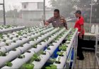 Sambang-desa,-Bhabinkamtibmas-Kletek-Aiptu-Eko-Suyanto-Cek-Tamanan-Horticultura-di-Green-House,-Dukung-Ketahanan-Pangan